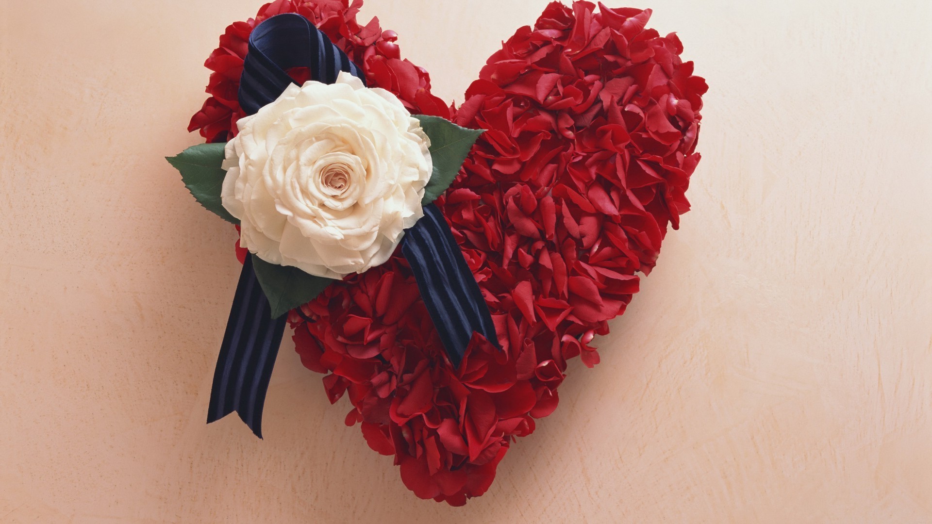 herzen rose liebe blume romantik hochzeit geschenk romantisch blütenblatt dekoration blumen urlaub blumenstrauß schön