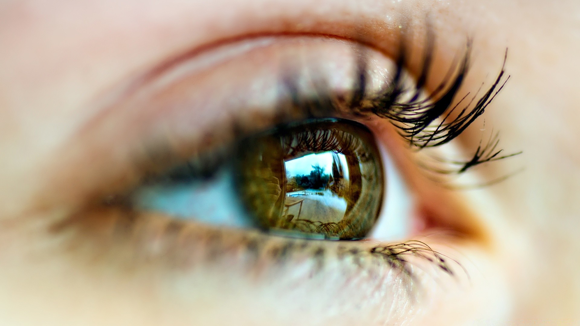 makroaufnahme weiblich mädchen unschärfe wimpern gesicht augapfel auge fokus mascara glamour mode erwachsener