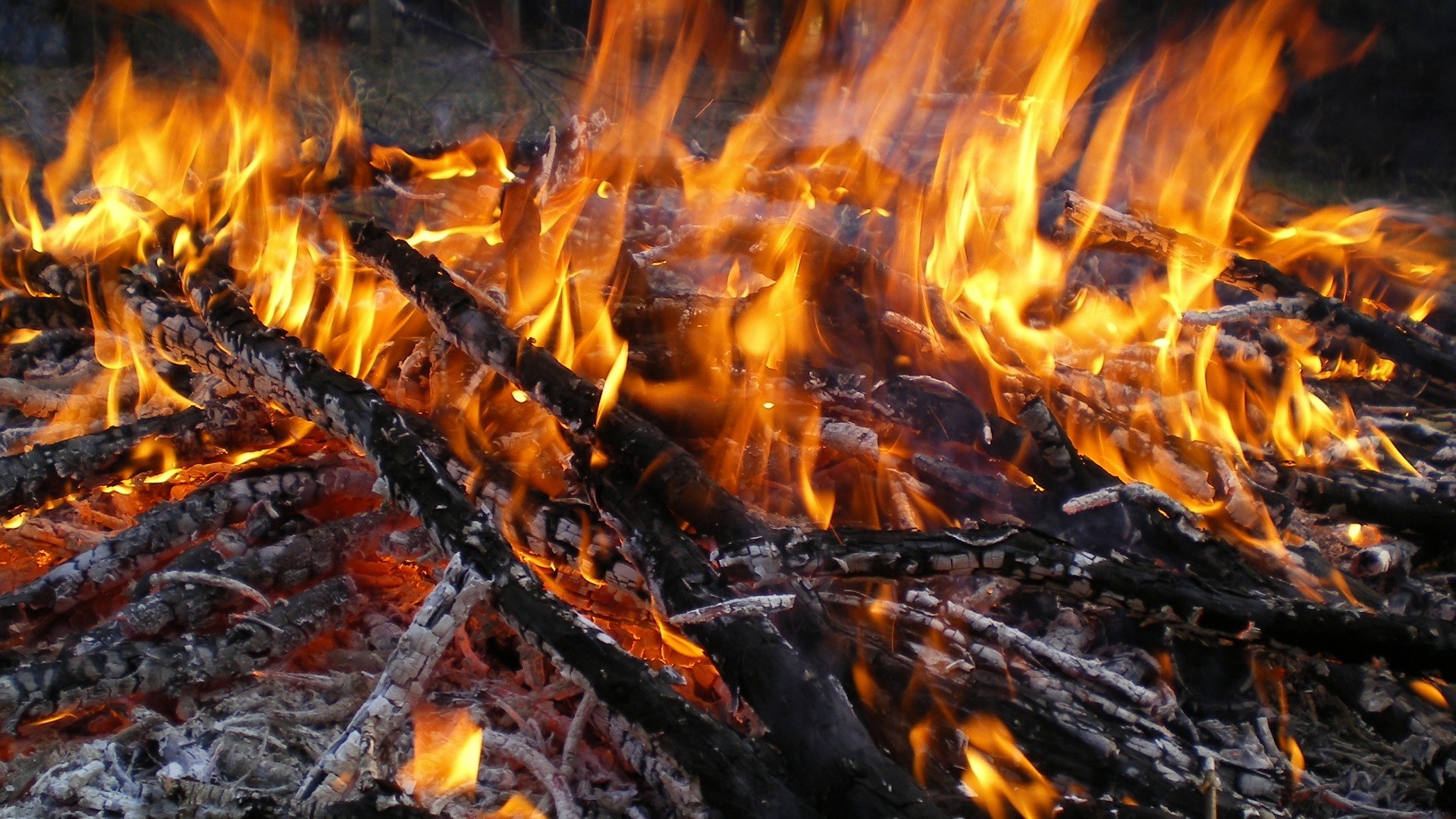 flamme lagerfeuer feuer hitze kohle kamin brennen kohle brennholz esche heiß inferno hitze rauch blaze brennbar anzünden feuer temperatur lager