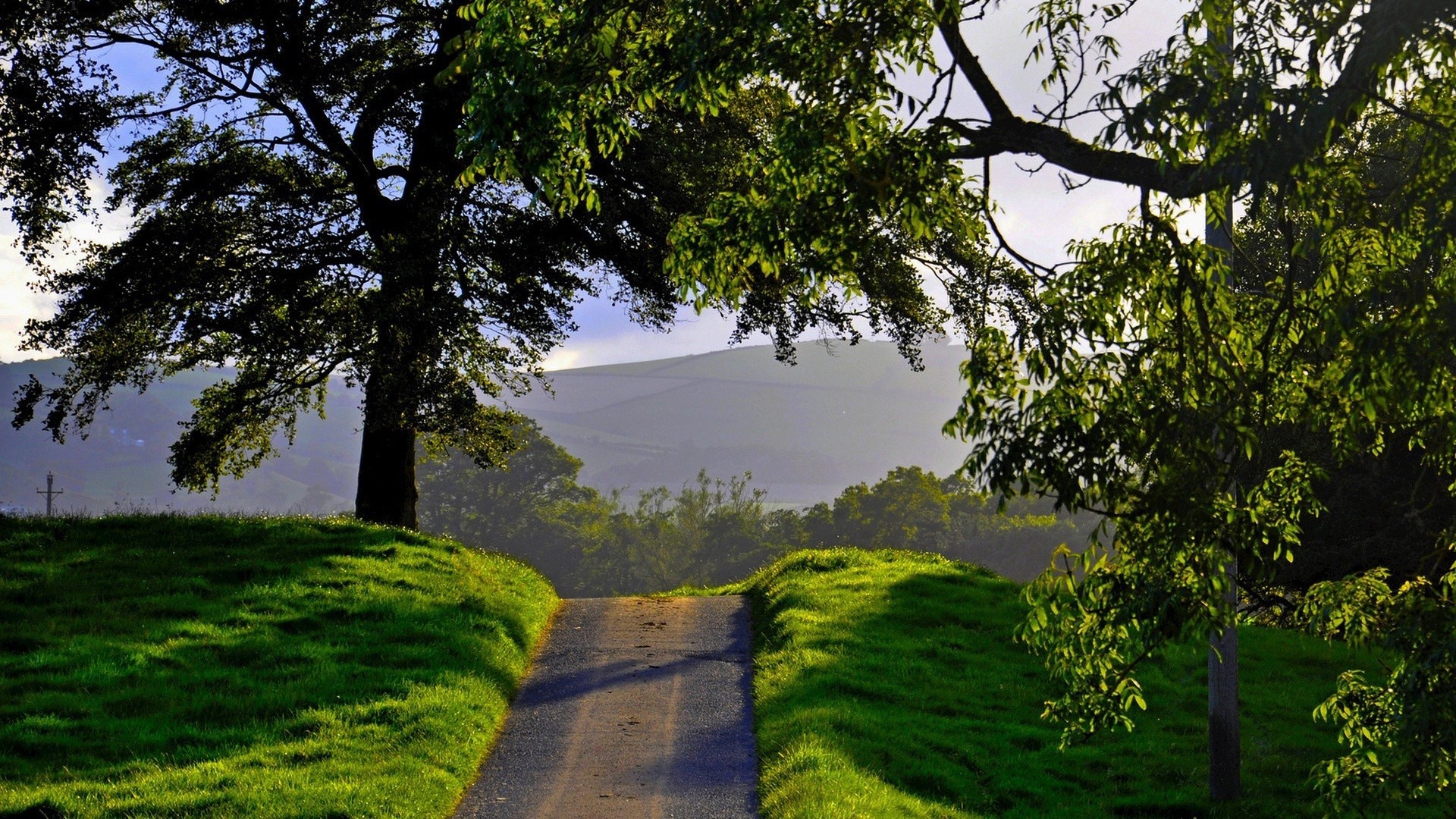 baum landschaft natur gras holz blatt landschaftlich park im freien umwelt üppig sommer zweig flora landschaft landschaft himmel guide
