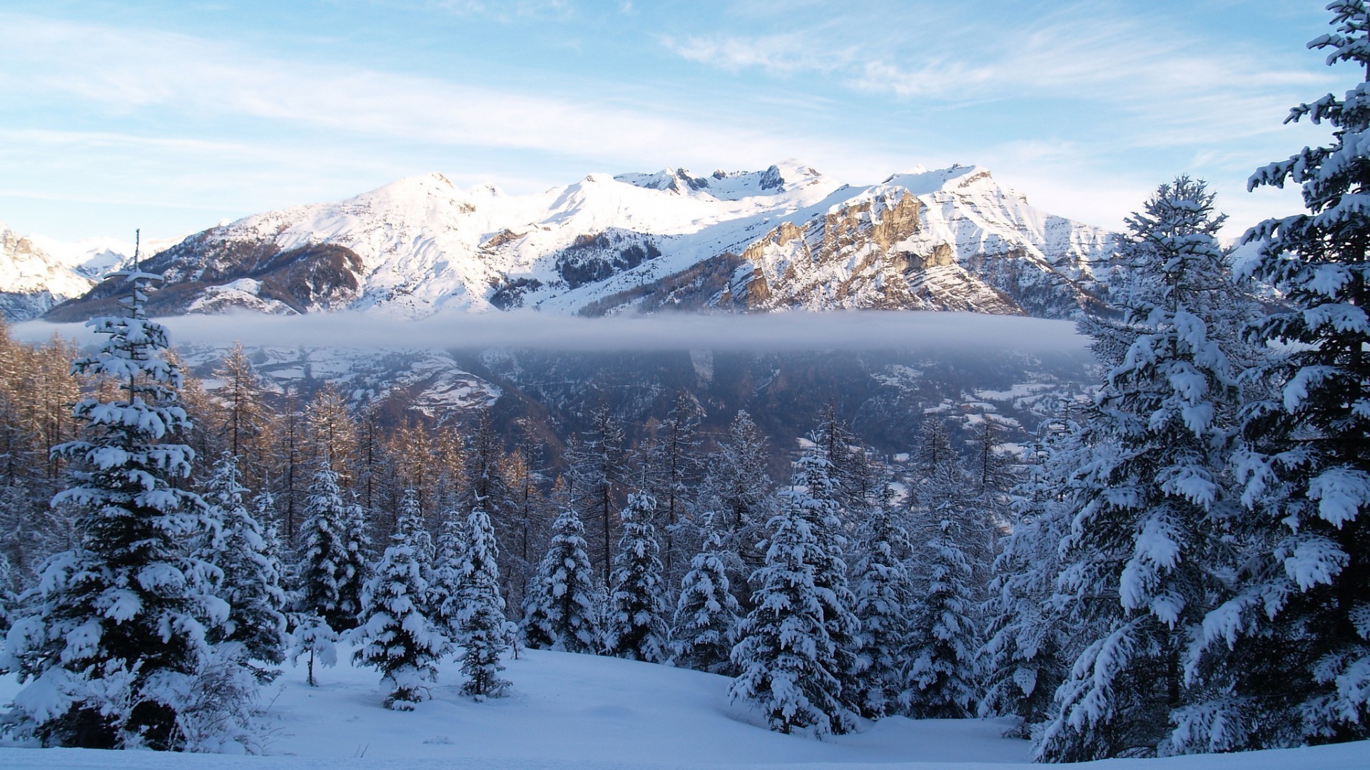 schnee winter kälte berg holz landschaftlich verschneit eis frost resort evergreen landschaft gefroren berggipfel hügel wetter nadelbaum panorama baum