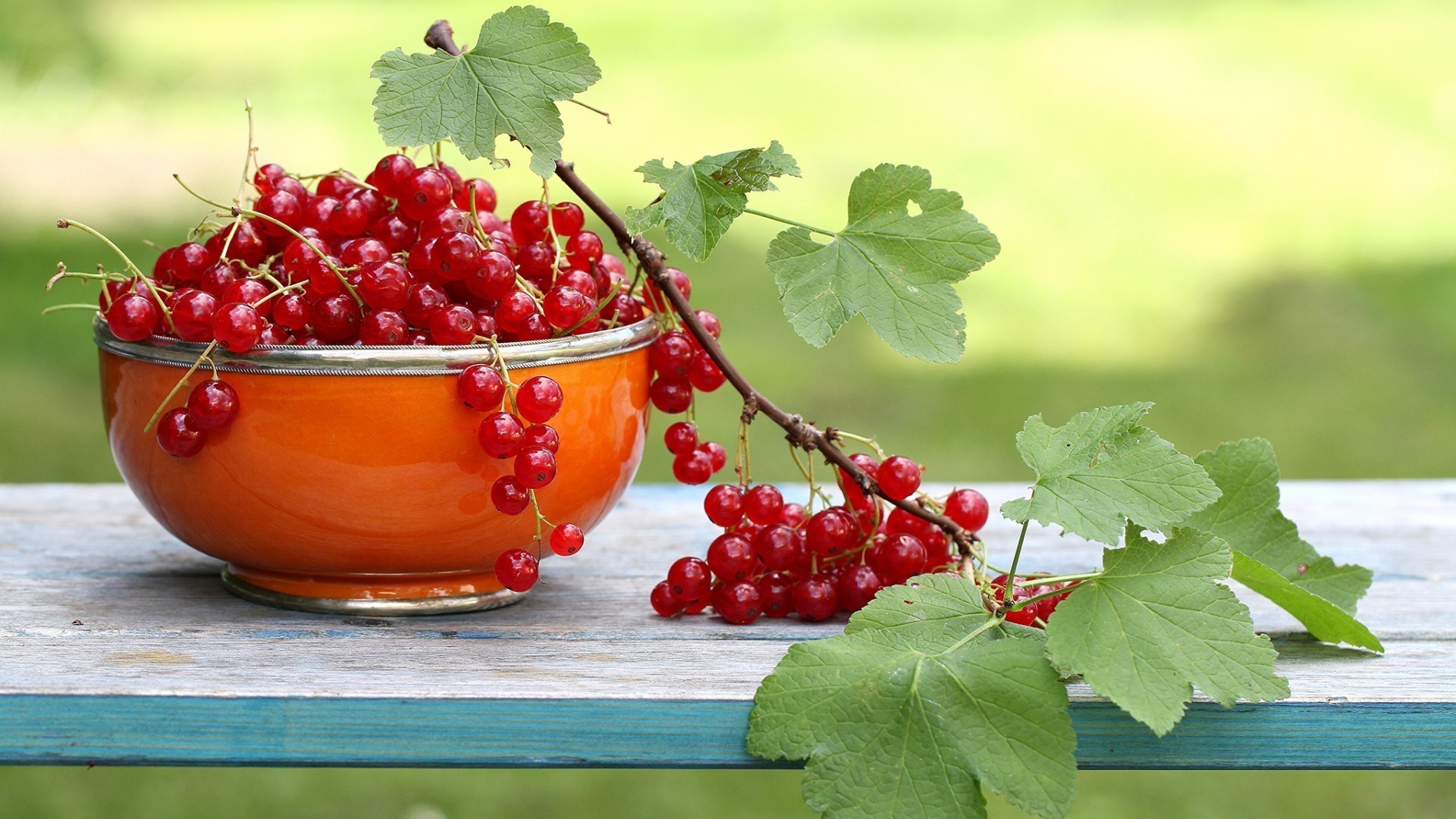 beere obst lebensmittel gesund blatt saftig johannisbeeren weide essen lecker gesundheit schließen diät gebäck garten sauer lecker natur haufen