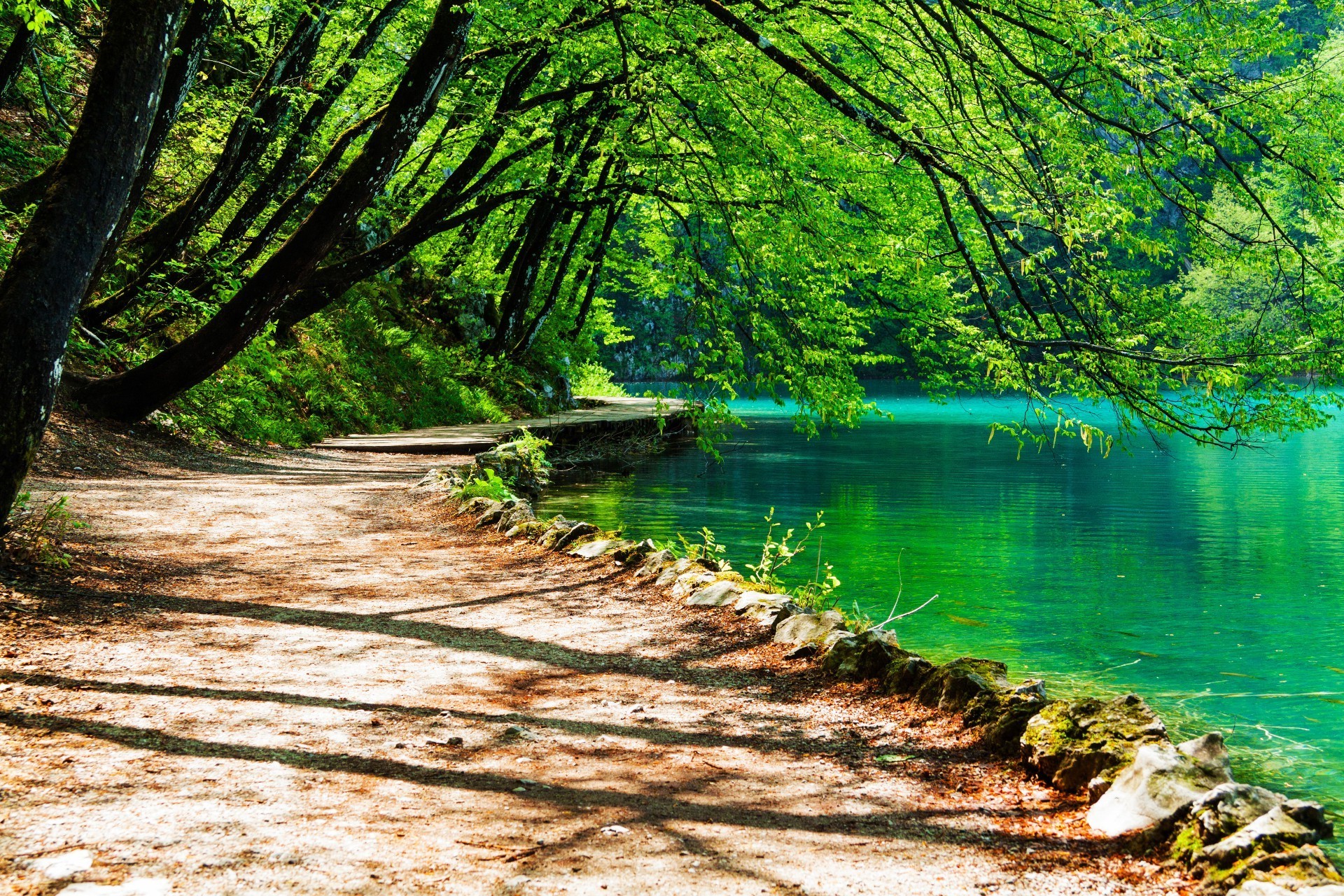 holz natur wasser holz landschaft blatt sommer im freien landschaftlich schönes wetter park saison reisen landschaft gelassenheit sonne kurvig szene