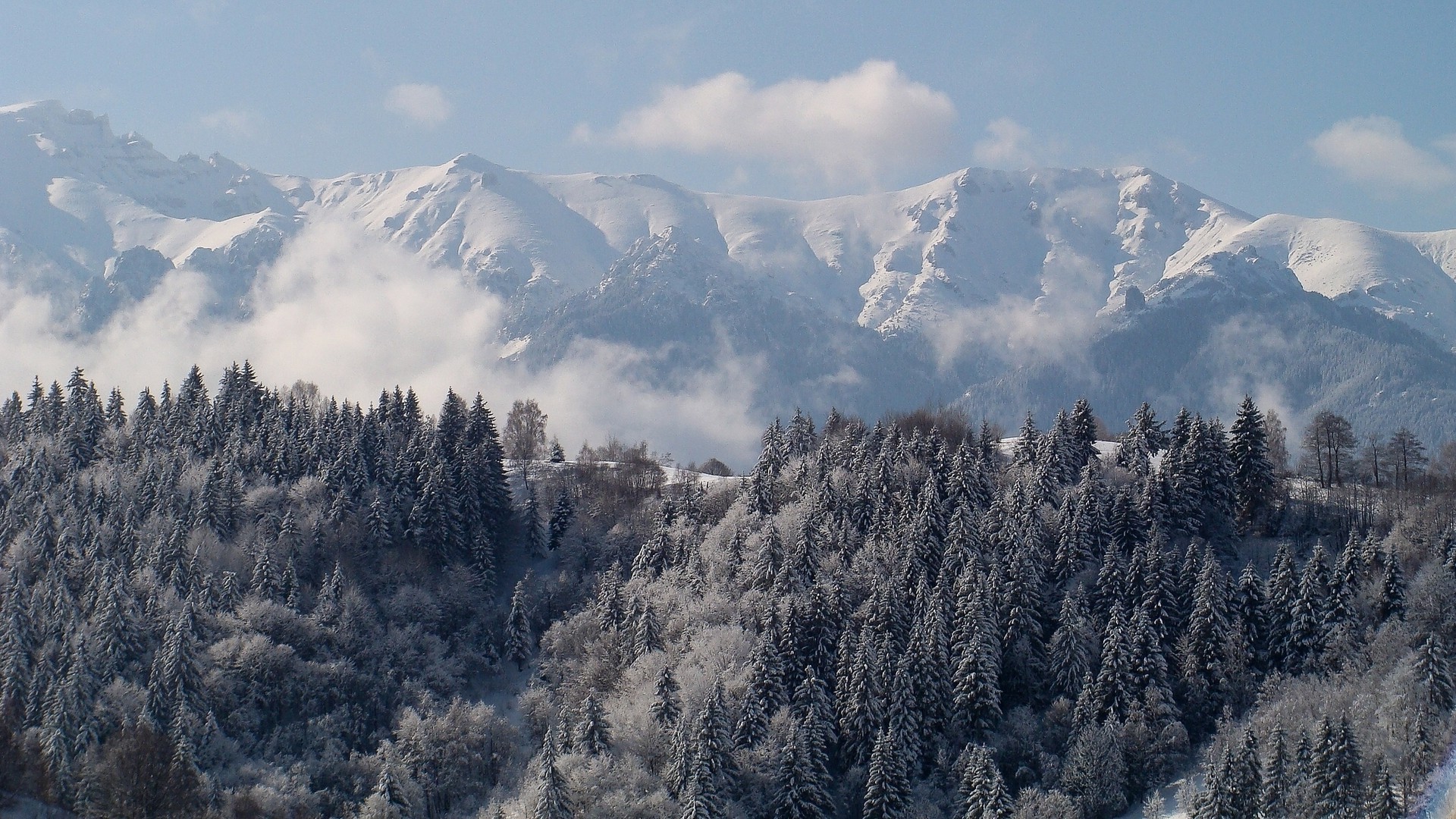 schnee berge winter reisen eis holz landschaft kälte himmel im freien nebel natur