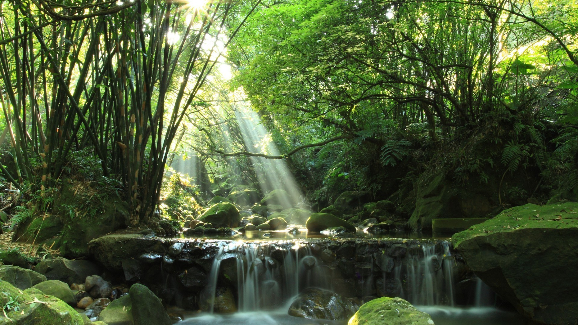 holz wasser natur blatt wasserfall landschaft üppig regenwald park dschungel tropisch umwelt moos baum sommer wild im freien flora fluss