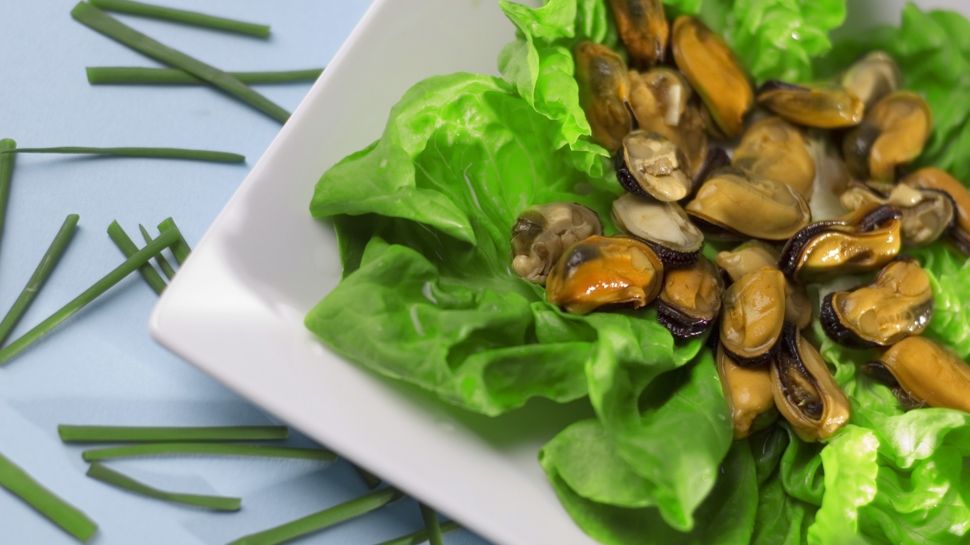 lebensmittel gesund gemüse essen küchen blatt kochen gesundheit diät salat essen abendessen schließen gericht mittagessen lecker epicourt desktop lecker