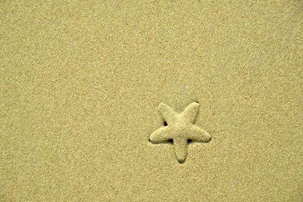 Farbfoto des Seesterns im Sand