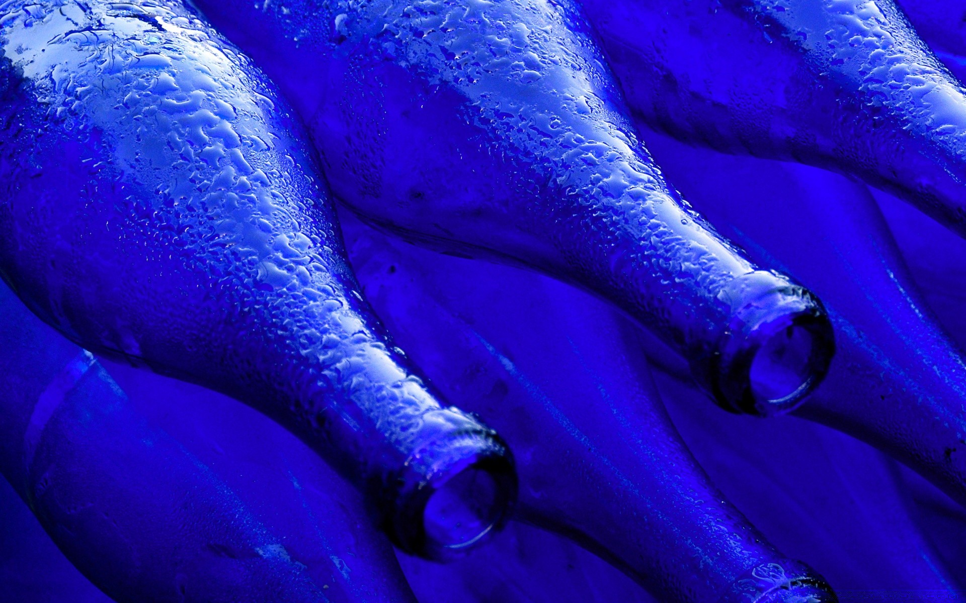 makro farbe desktop abstrakt kunst unterwasser
