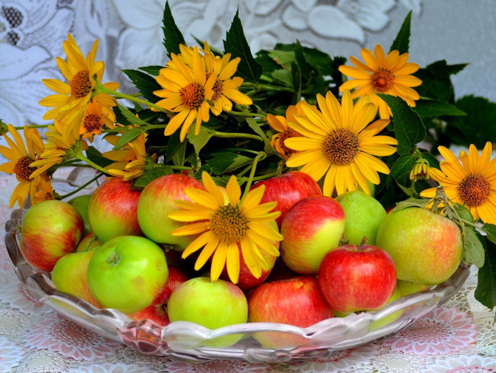 essen & trinken blatt obst apfel natur herbst essen sommer hell garten