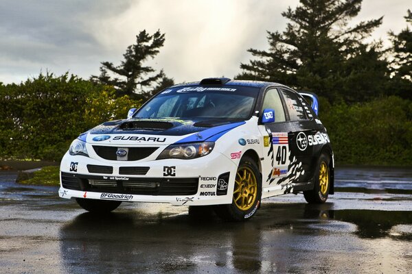 Sportlicher weiß-schwarzer Subaru-Rennwagen