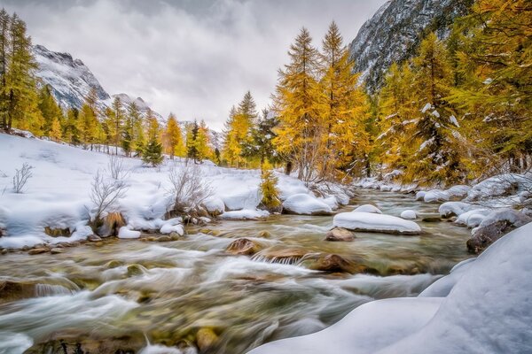 Bach durch den Winterwald