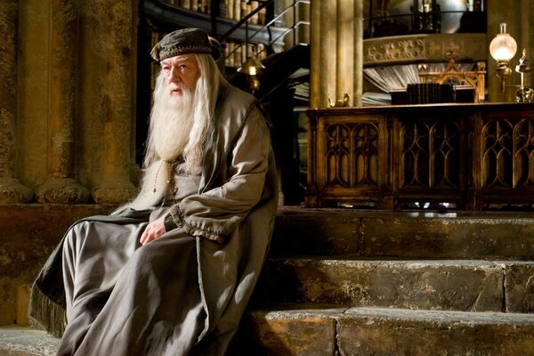 Der weise Direktor der Harry-Potter-Schule