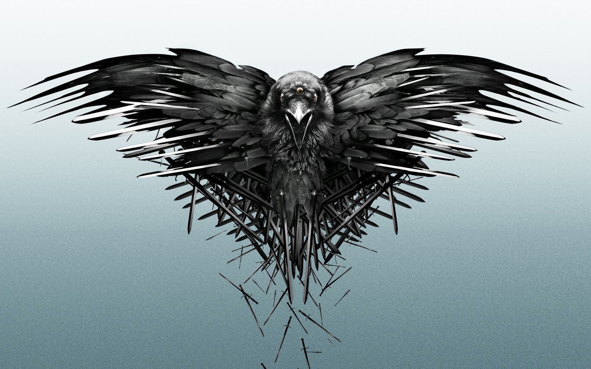 filme vogel raptor adler tierwelt feder natur flug fliegen flügel hock