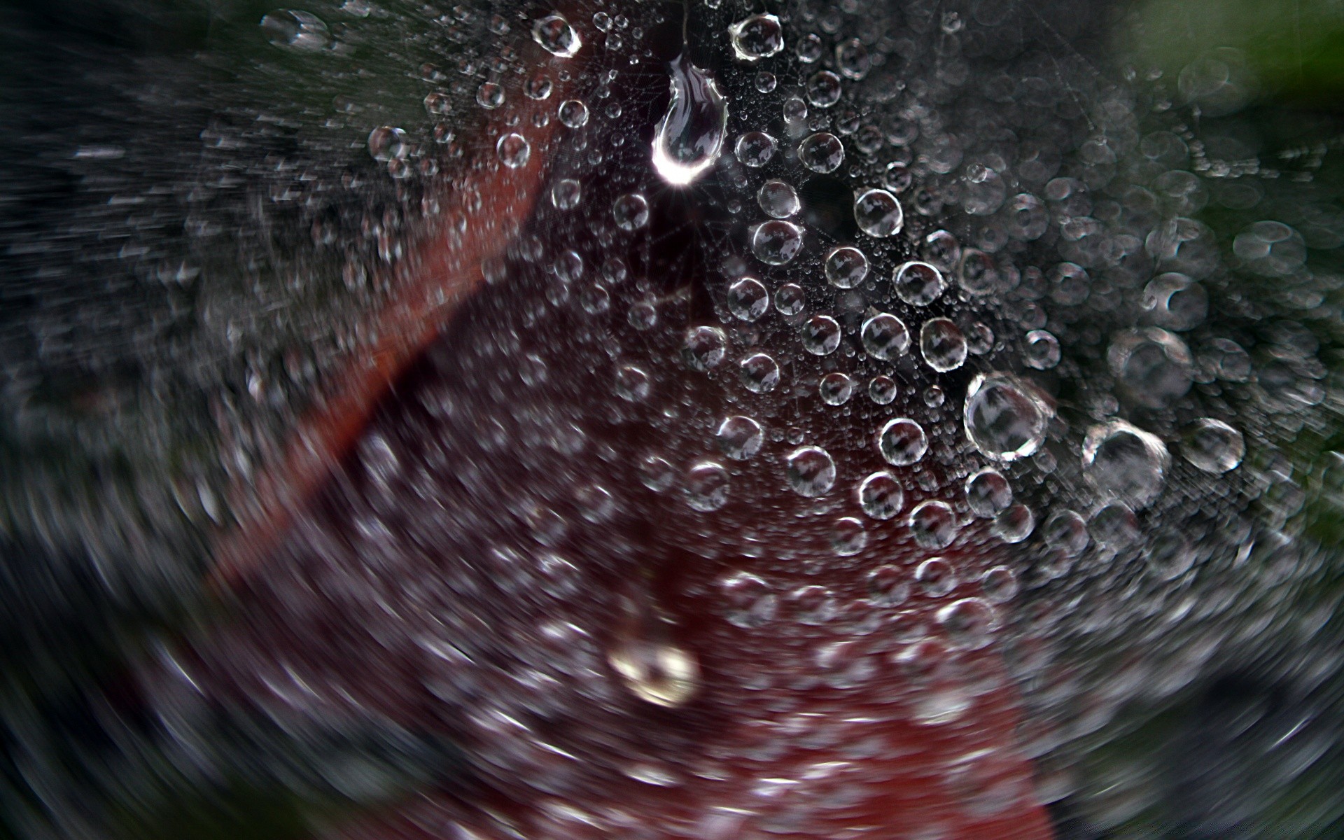 makro regen nass tropfen tau wasser blase tropfen sauber wassertropfen spritzen flüssigkeit tropfen reflexion klar sauber trinken leuchten glas waschen