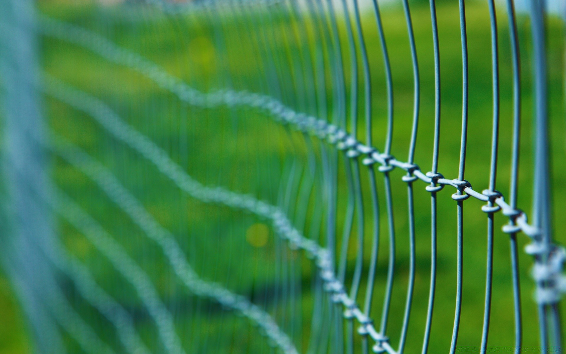 makro flora tau fallen steigen blatt regen natur desktop abstrakt garten gras sommer textur