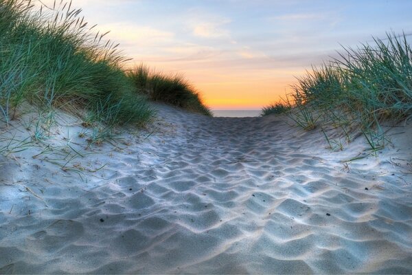 Sandiger, überwachsener Weg zum Meer