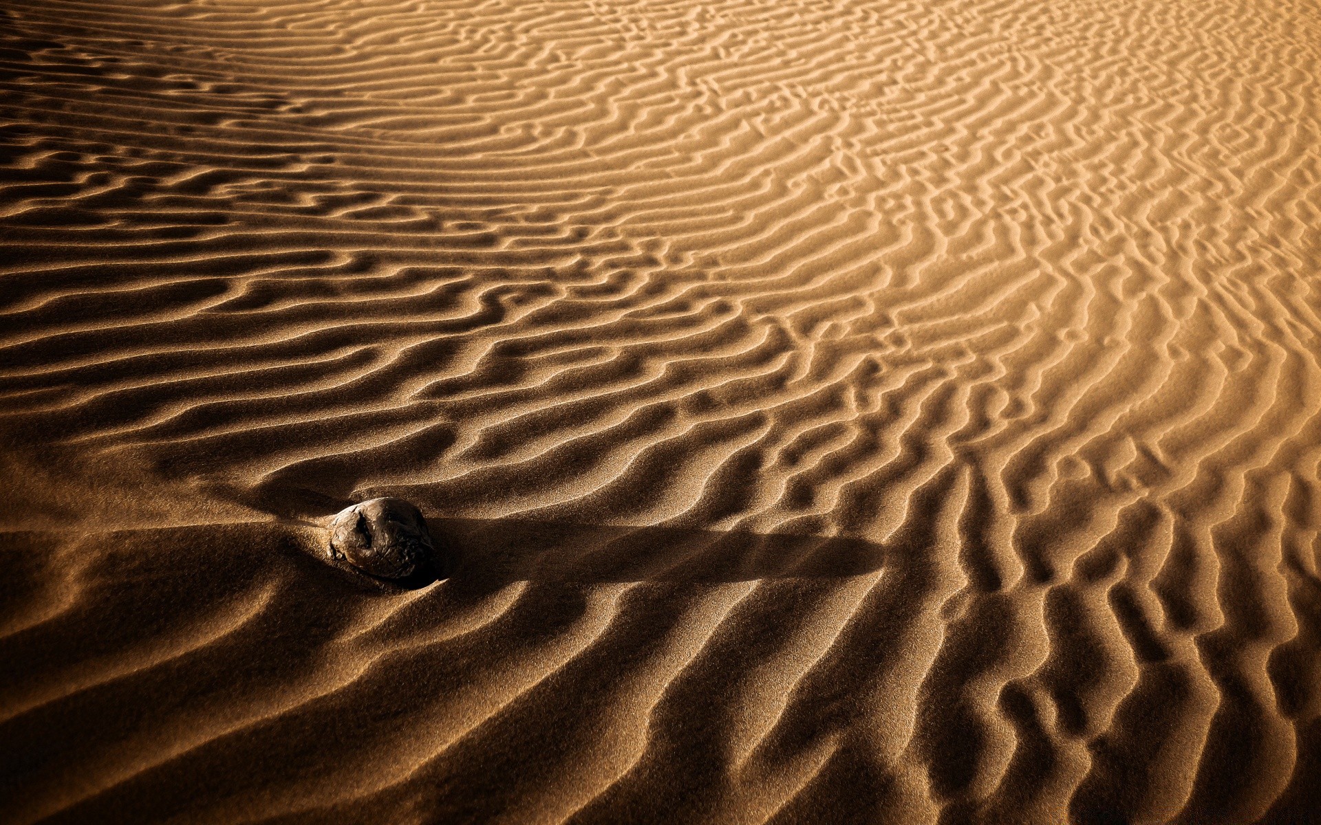 wüste sand strand unfruchtbar fußabdruck eine düne textur meer welle aride welligkeit muster trocken desktop schatten