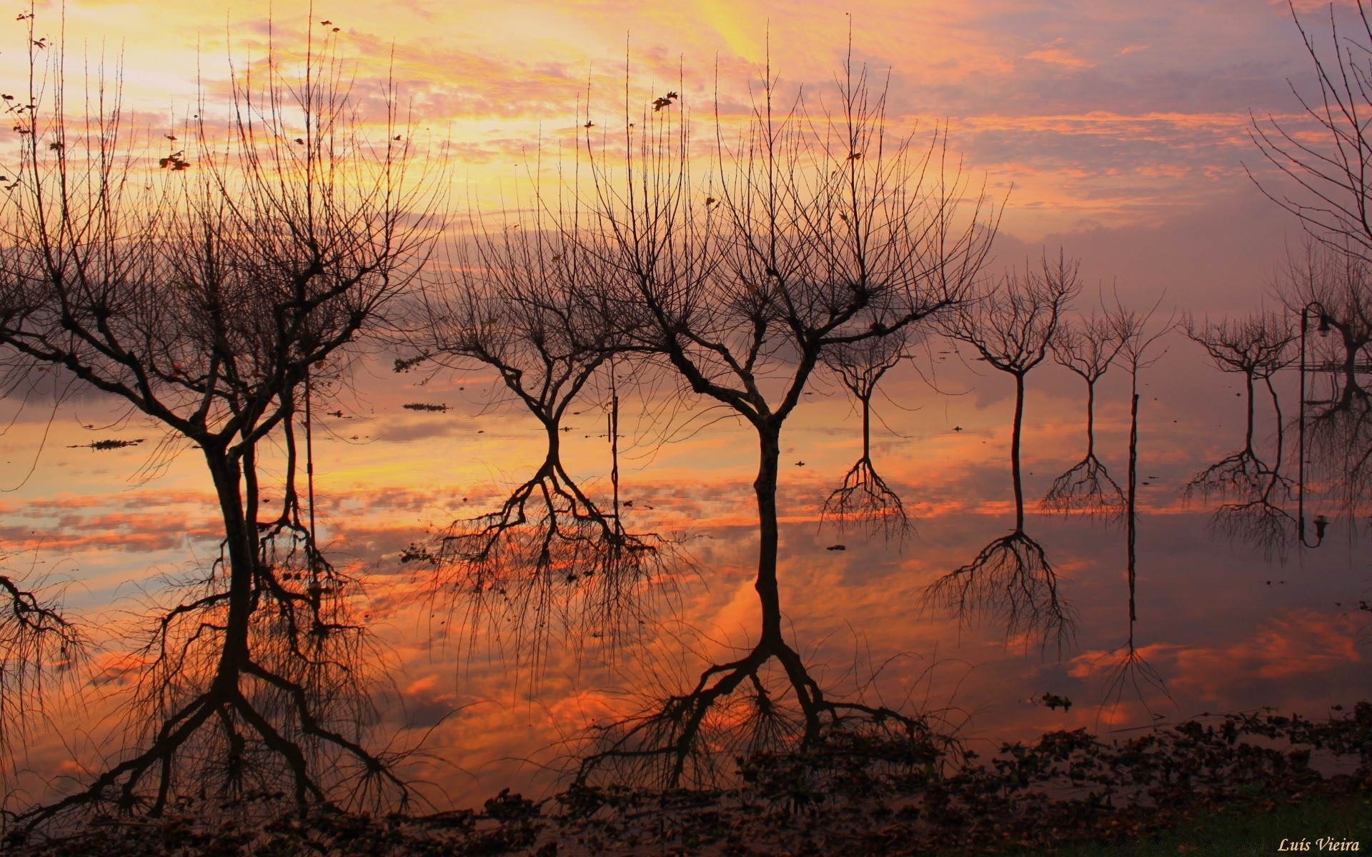 see sonnenuntergang dämmerung landschaft baum natur abend dämmerung silhouette himmel sonne medium wasser im freien herbst holz wetter