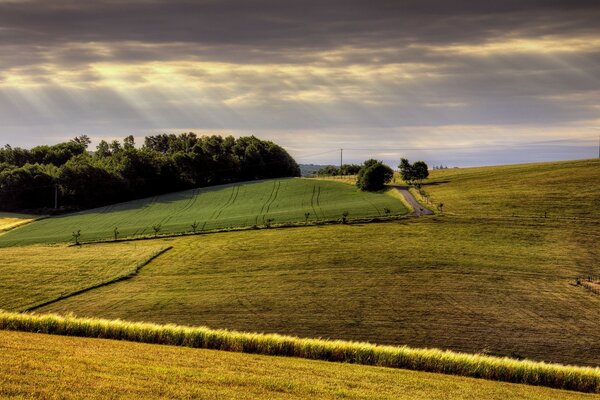 Landwirtschaftliche Felder und Landwirte