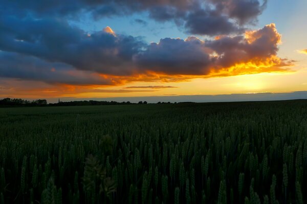 Begleite den Sonnenuntergang und treffe die Dämmerung
