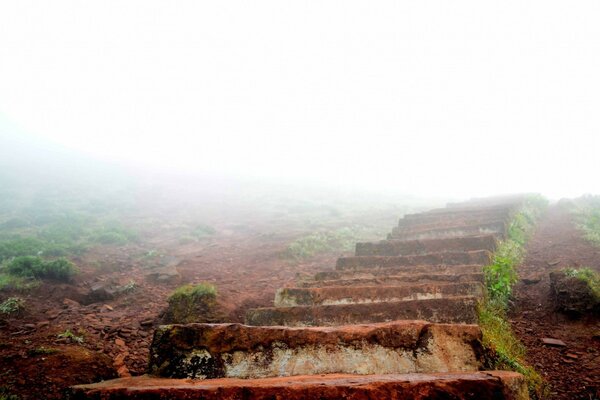 Eine Steintreppe steigt im Nebel auf