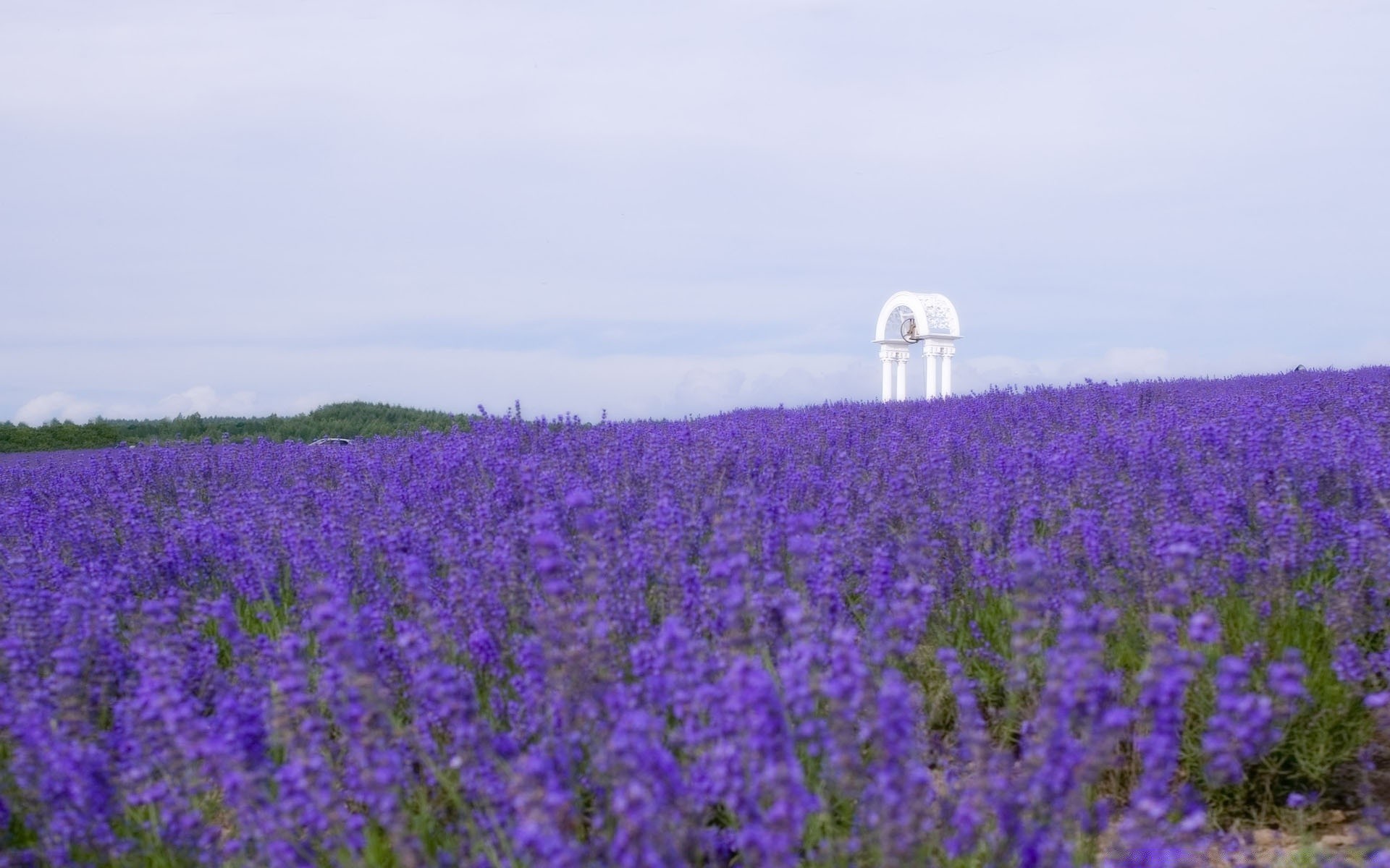 landschaft landschaft blume feld landwirtschaft des ländlichen natur sommer im freien flora heuhaufen landschaft himmel aufstieg bauernhof medium tageslicht weide gras saison