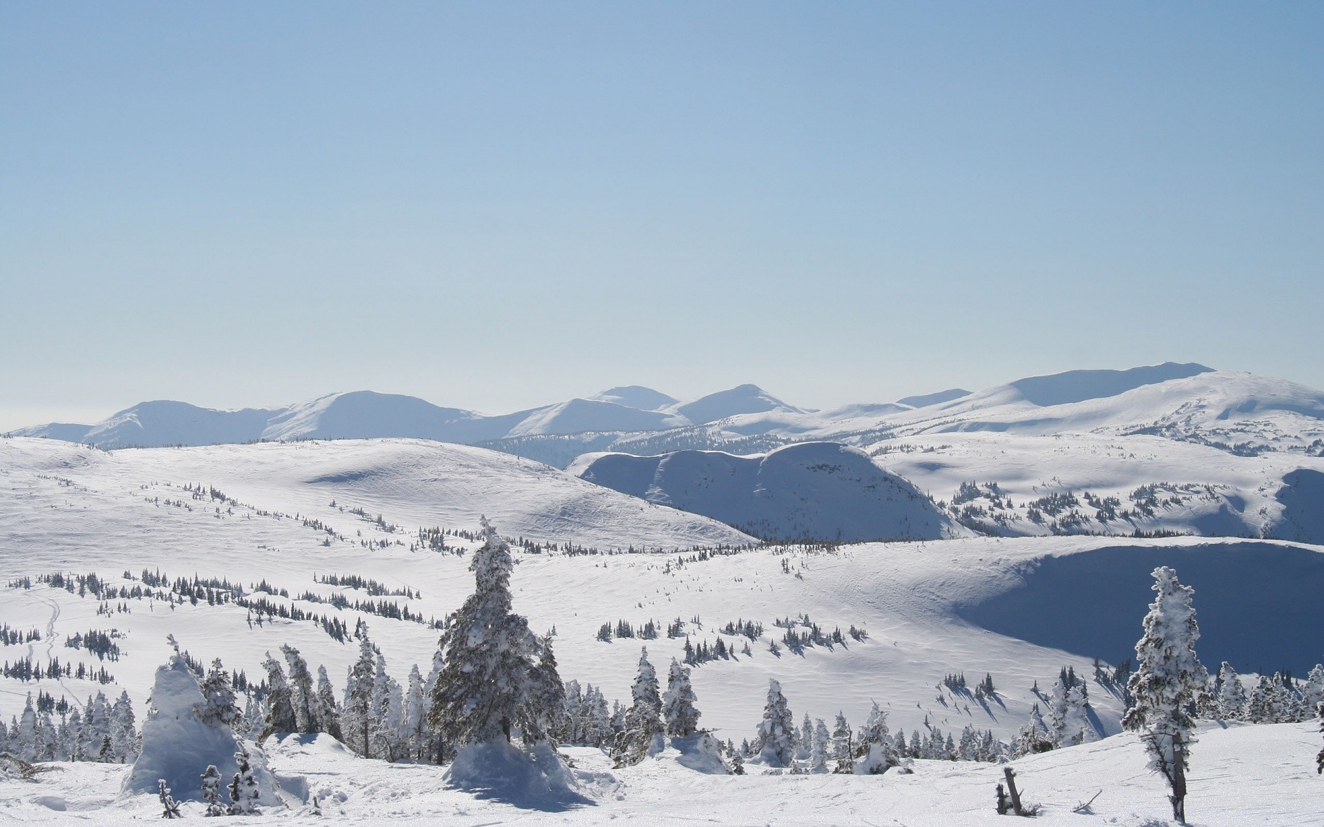 berge schnee winter berge kälte resort hügel berggipfel landschaftlich eis landschaft verschneit holz gefroren alpine reisen tal baum frost panorama