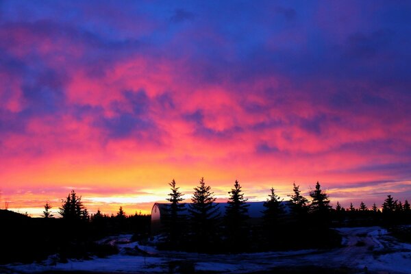 Winter Sonnenuntergang in der Wildnis des Waldes