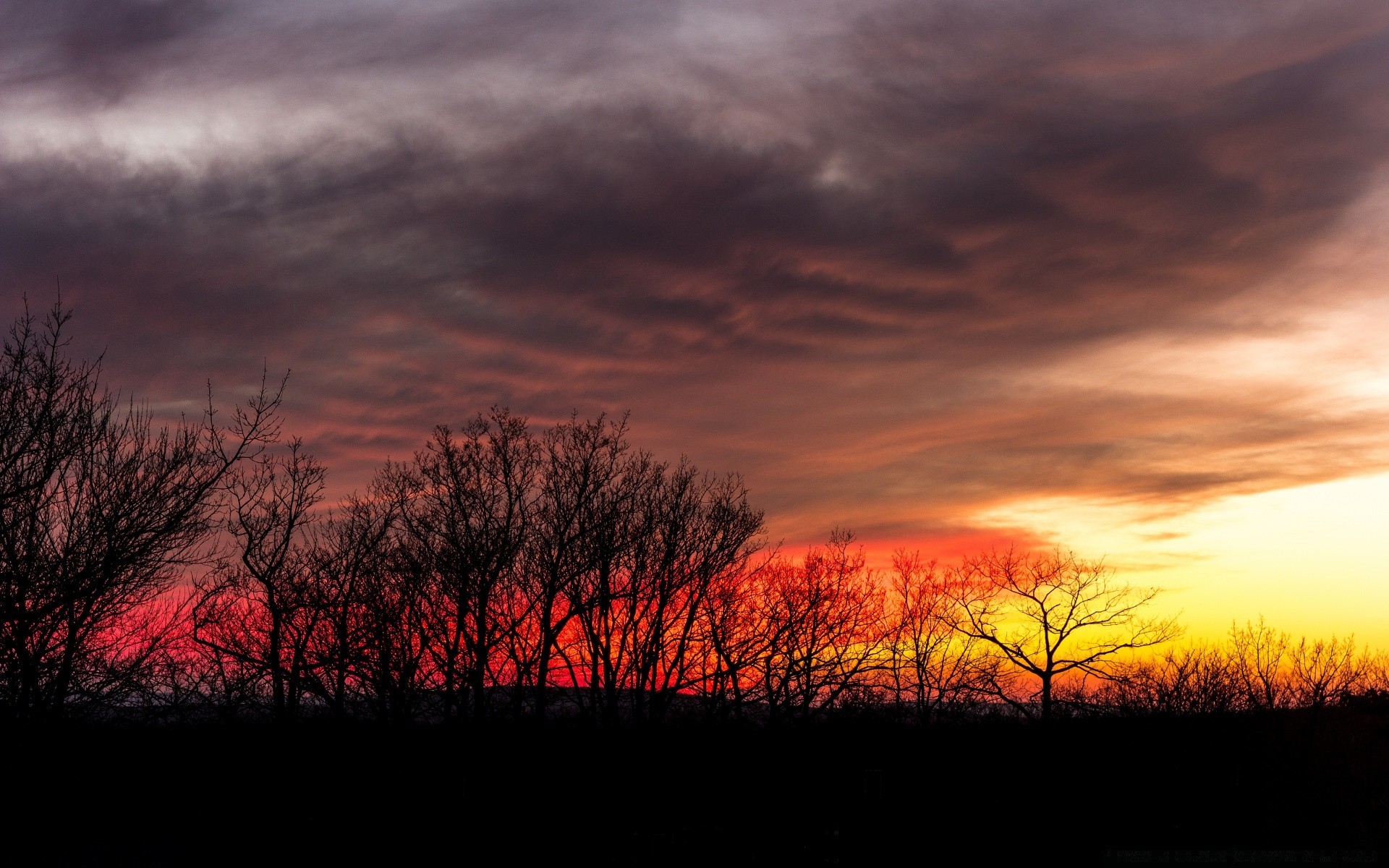 himmel sonnenuntergang dämmerung abend landschaft sonne natur dämmerung himmel baum silhouette hintergrundbeleuchtung wetter im freien nebel gutes wetter licht herbst dunkel