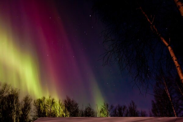 Nordlichter am Nachthimmel