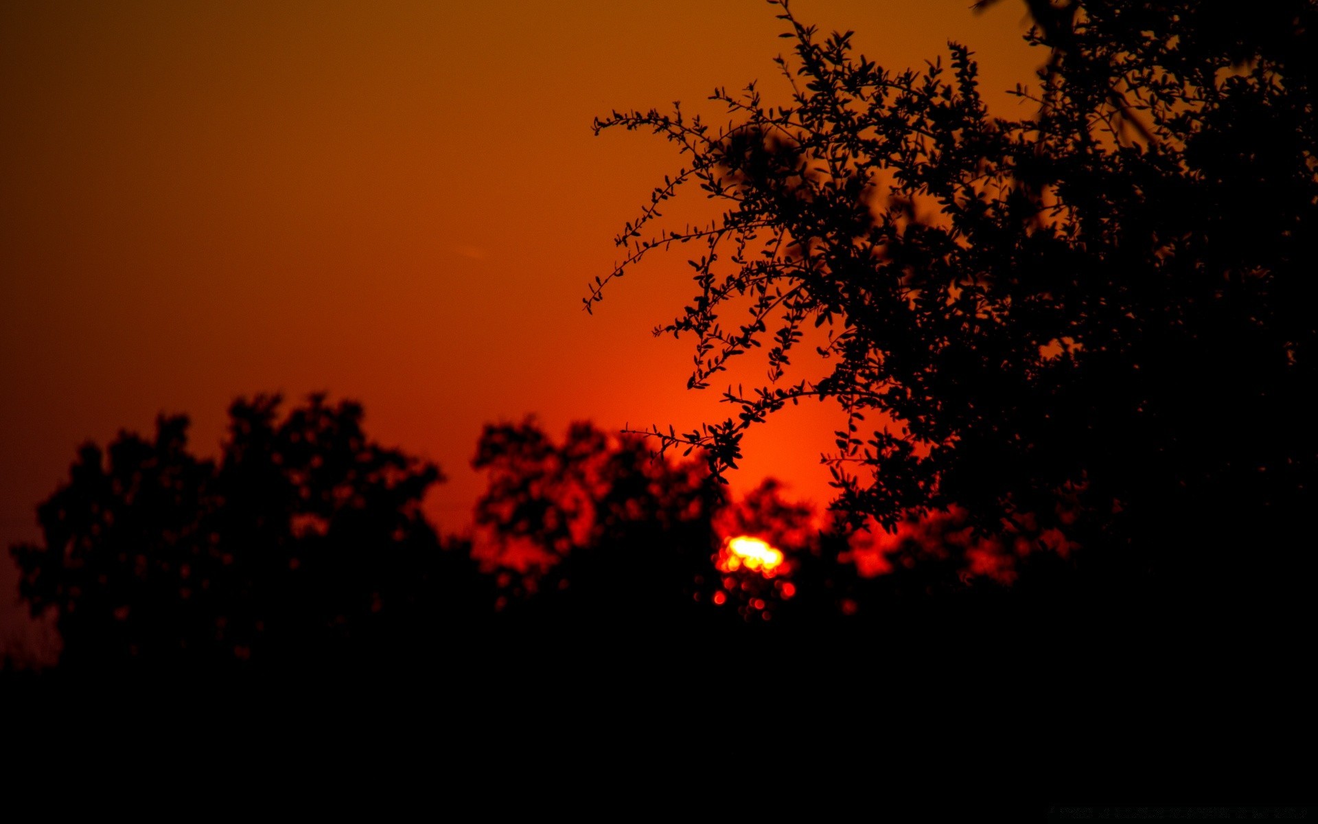 himmel silhouette sonnenuntergang hintergrundbeleuchtung abend baum dämmerung licht sonne dämmerung landschaft herbst himmel mond