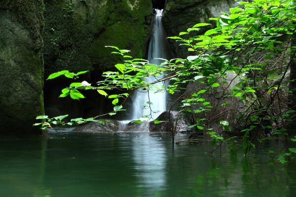 Kleiner Wasserfall am Waldsee