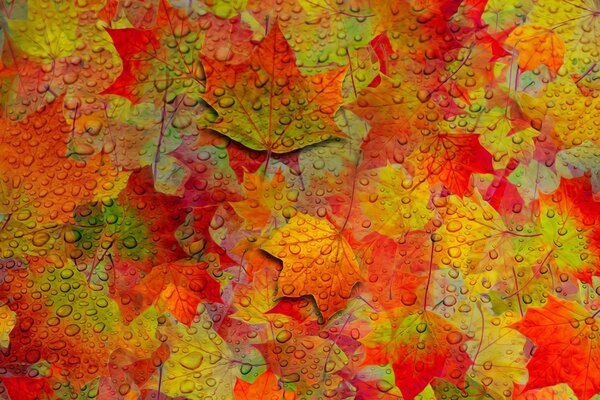 Bemalte Oberfläche mit Herbstlaub in Wassertropfen