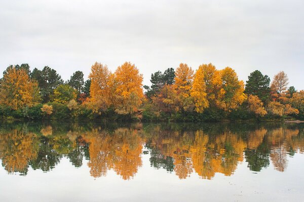 Landschaft des Herbstwaldes am See