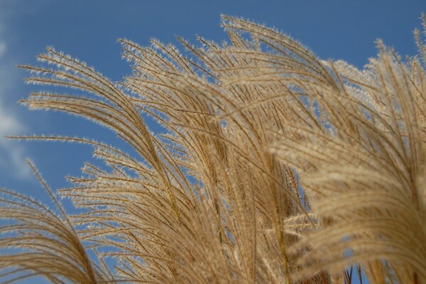 Helle Farben des Himmels im Sommer