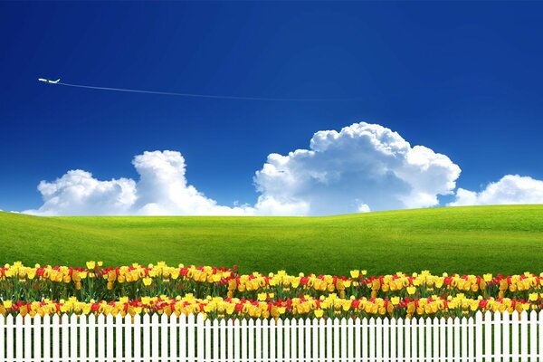 Ländliche Sommerfrühlingslandschaft
