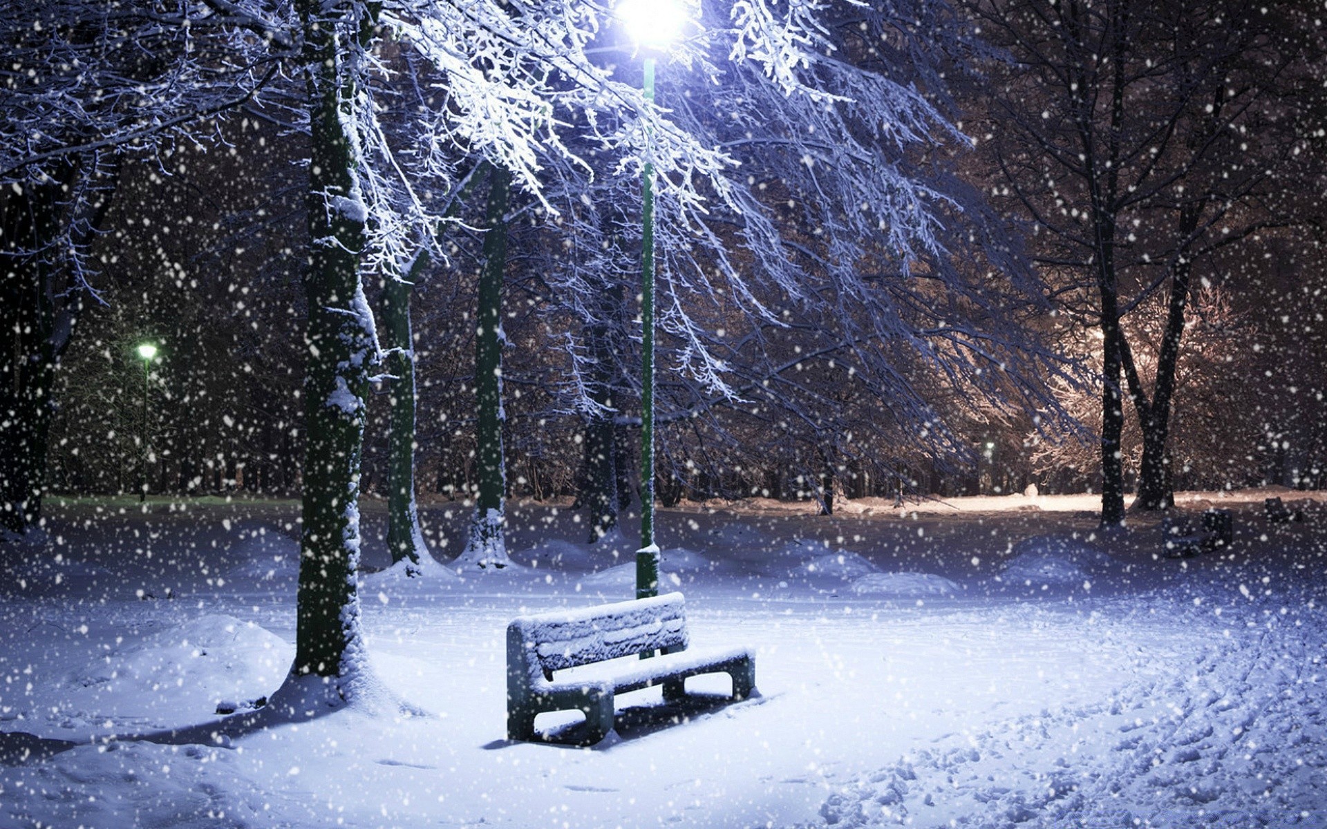 winter schnee kälte gefroren frost eis baum wetter jahreszeit schneesturm landschaft holz weihnachten licht schnee-weiß natur eisig frostig