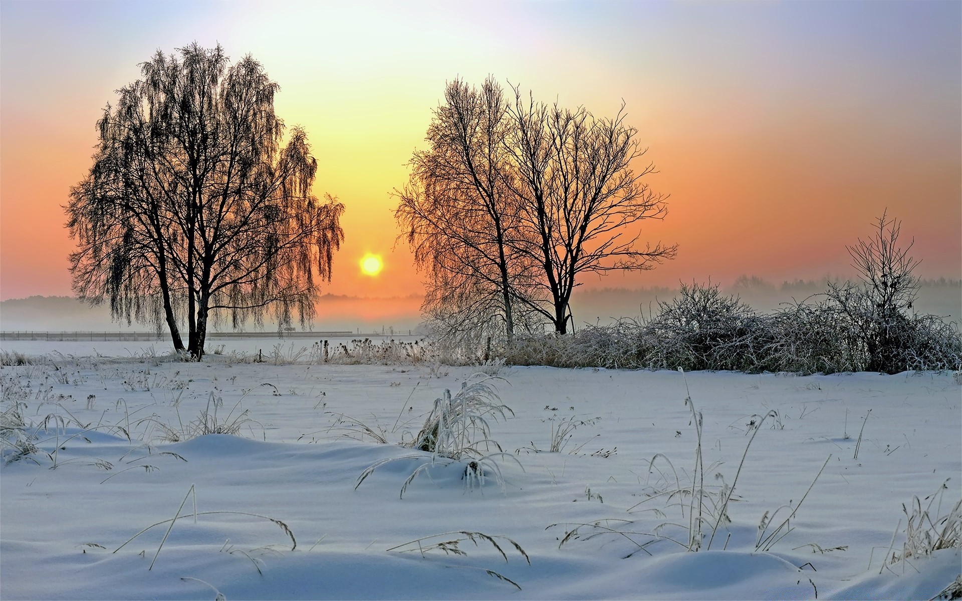 winter schnee gefroren kälte landschaft dämmerung frost wetter baum eis jahreszeit natur gutes wetter sonnenuntergang holz sonne landschaftlich schnee-weiß nebel