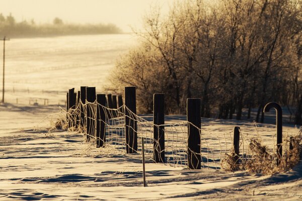 Schneezaun mit Mesh im Feld