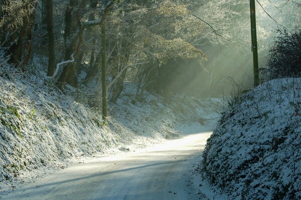 Sonnenstrahlen auf einem Waldweg im Winter