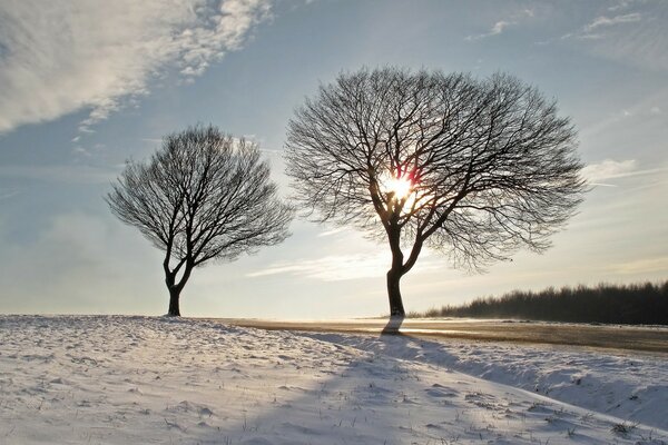 Winter frostige Landschaft in den Feldern