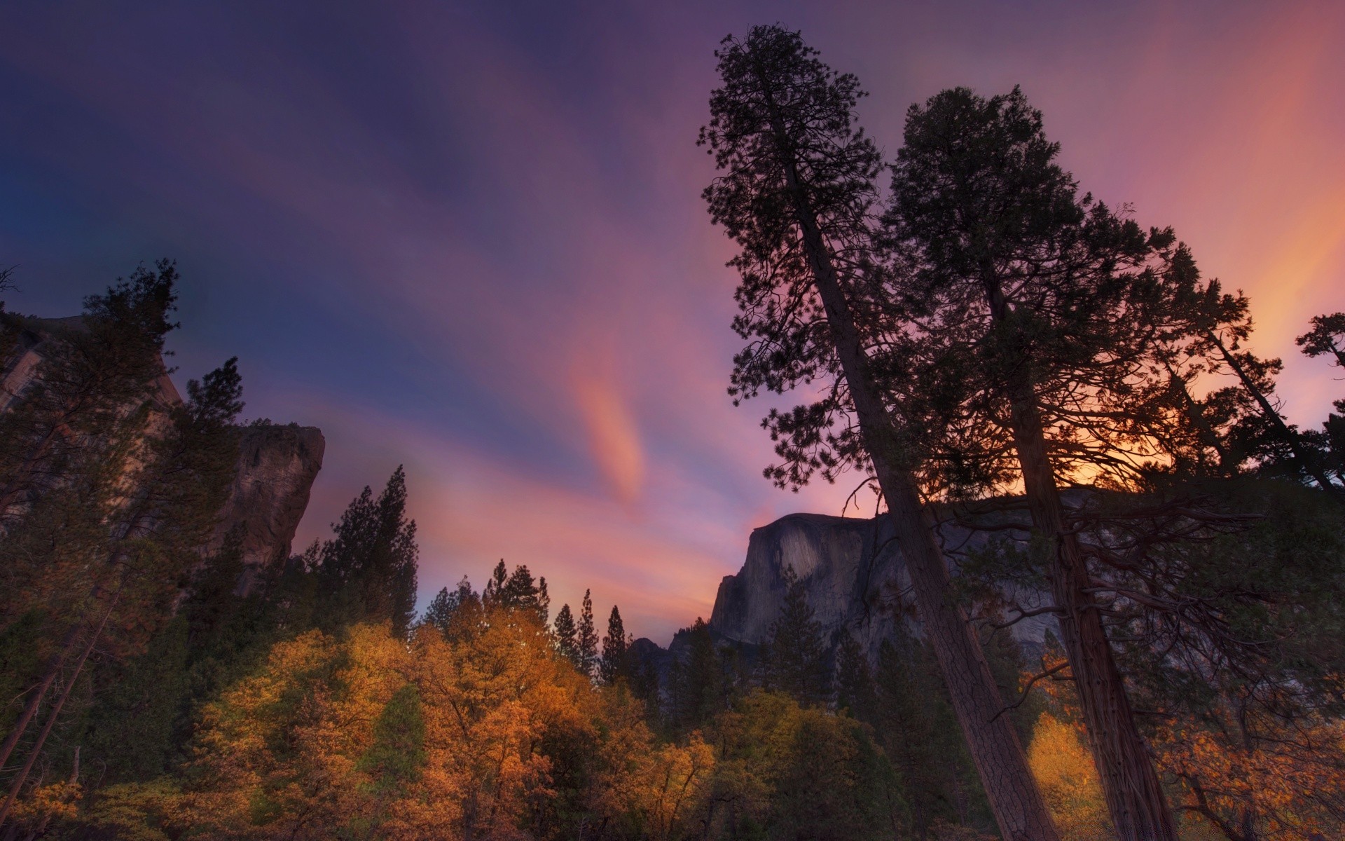 amerika sonnenuntergang baum dämmerung landschaft im freien abend holz herbst nebel dämmerung himmel natur reisen landschaftlich