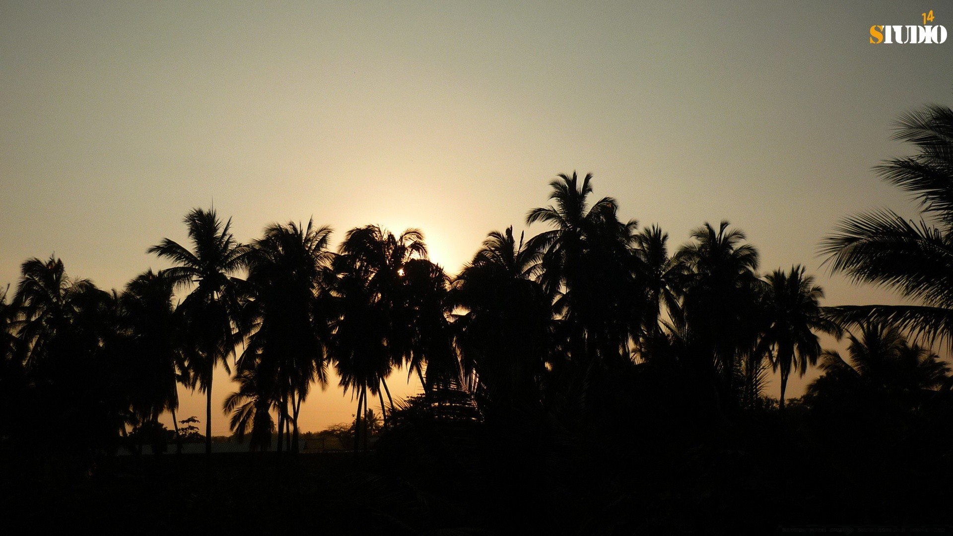 amerika strand sonnenuntergang palmen baum hintergrundbeleuchtung sonne silhouette meer tropisch insel dämmerung abend kokosnuss gutes wetter landschaft ozean reisen sand