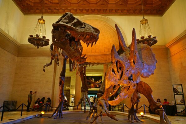 Zwei Dinosaurierskulpturen im Museum