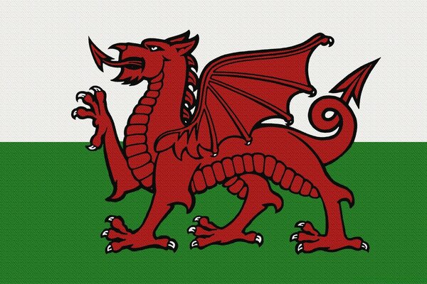 Weiß-grüne Flagge mit rotem Drachen, Wappen